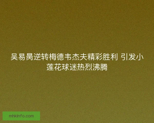 吴易昺逆转梅德韦杰夫精彩胜利 引发小莲花球迷热烈沸腾