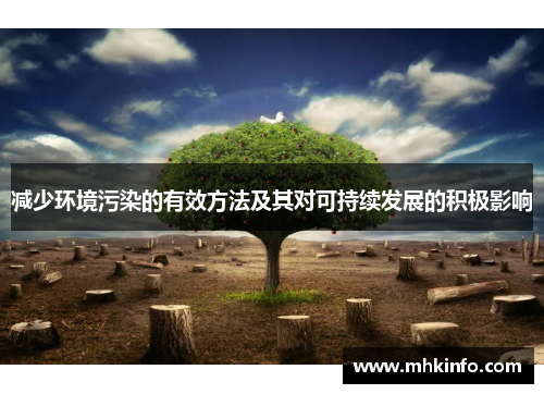 减少环境污染的有效方法及其对可持续发展的积极影响